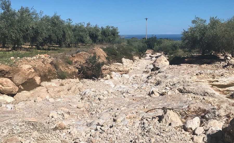 This dry creek provides direct drainage of agricultural residues from the adjacent olive orchards to the sea below, where oysters are cultured. As human activity expands, this type of interplay between agriculture and aquaculture become unavoidable.