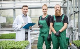 workers in a greenhouse