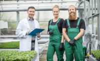 workers in a greenhouse