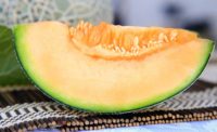 Cantaloupe