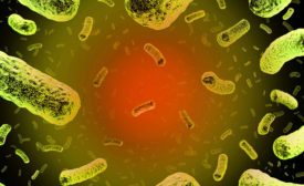 listeria