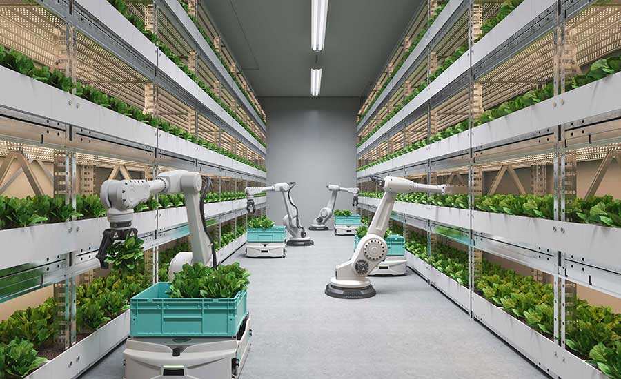 robots picking up herbs