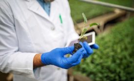 man holding a plant growing out of its' root