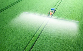 Pesticide residues 