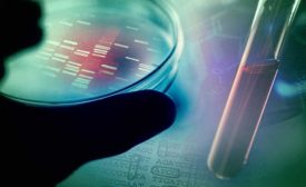 dna sequencing