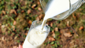 glass of milk poured outside