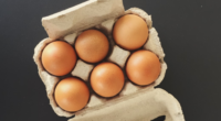 half dozen egg carton