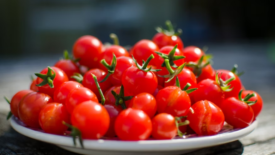 plate of charry tomatoes