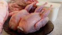 raw whole quail