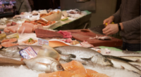 seafood on ice at a market