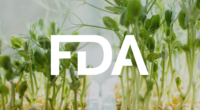 sprouts growing with FDA logo overlay